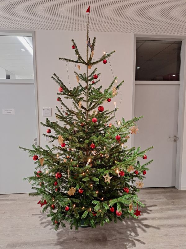 20241202 LMG Weihnachtsbaum 2024 1b