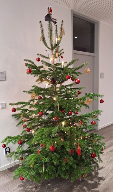 20241202 LMG Weihnachtsbaum 2024 1b
